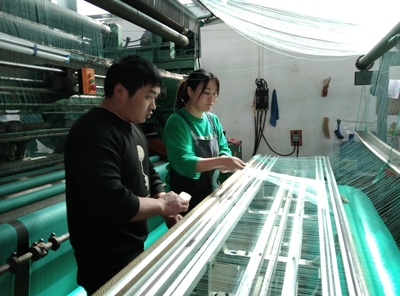 产业花开幸福来——喜看商水县练集镇富民产业铺就乡村振兴路